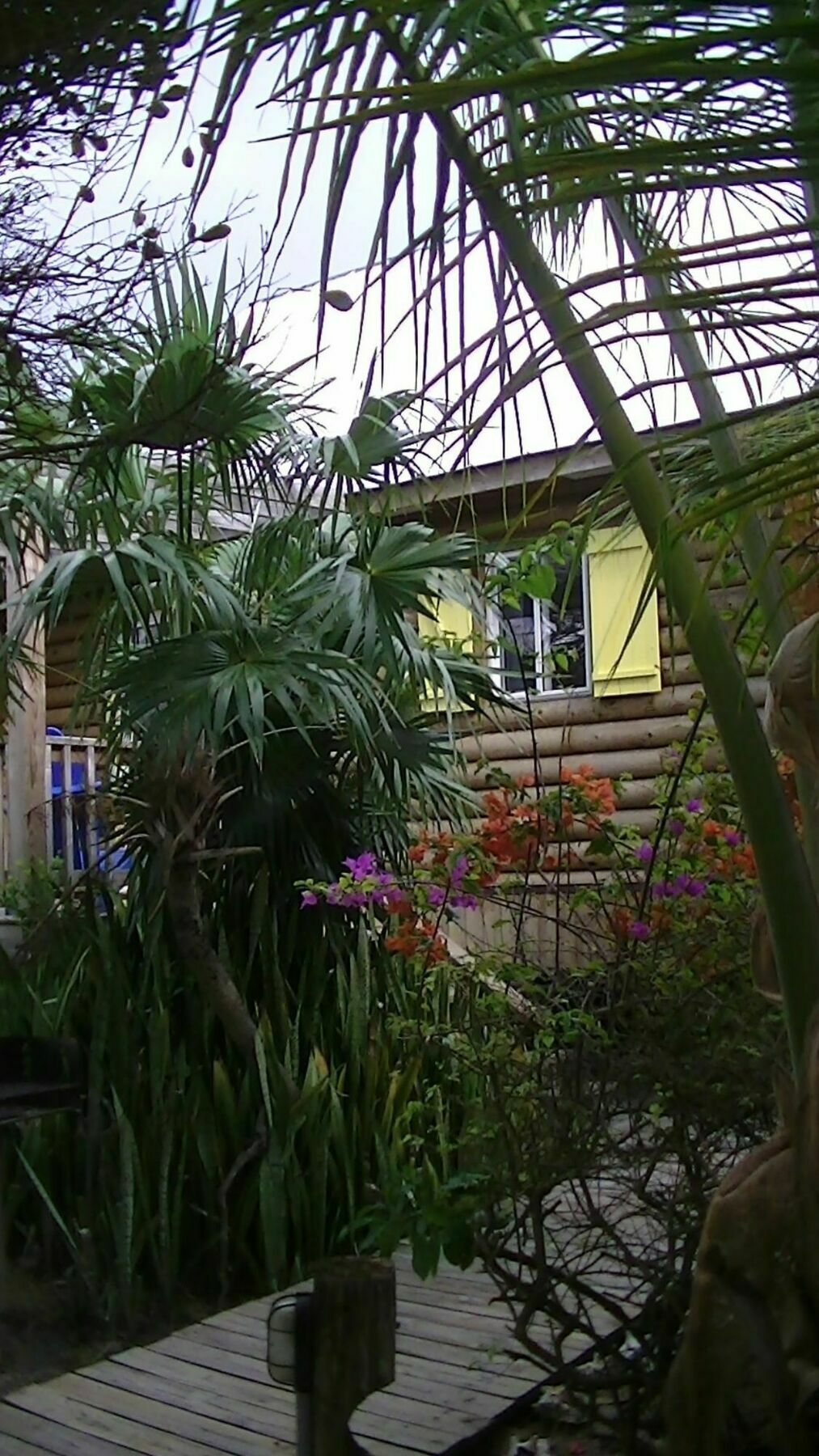 Oceanfrontier Hideaway Hotel Great Guana Cay Exterior photo